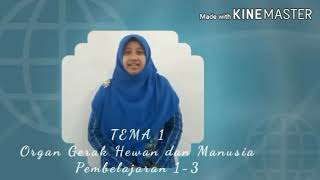 Kelas 5 Tema 1 Subtema 1 PB 1-3
