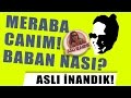 Aslı İnandık - Meraba Canım Babannas