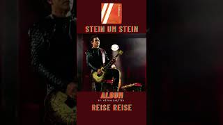 Solo de Guitarra de RZK de la Canción Stein um Stein #shorts  #rammstein