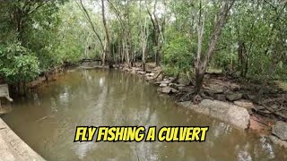 Culvert fishing near Darwin.