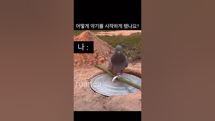 정신차려보니 악기를 하고있었다..