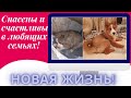 Спасены от гибели, счастливы в семье