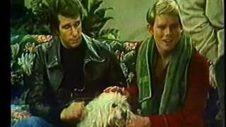 Celebrity ABC Tuesday night comedies promo 1978 Wealth