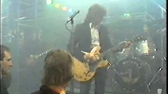 Dave Edmunds and Rockpile - You'll Never Get Me Up Dave Edmunds and Rockpile - You'll Never Get Me Up