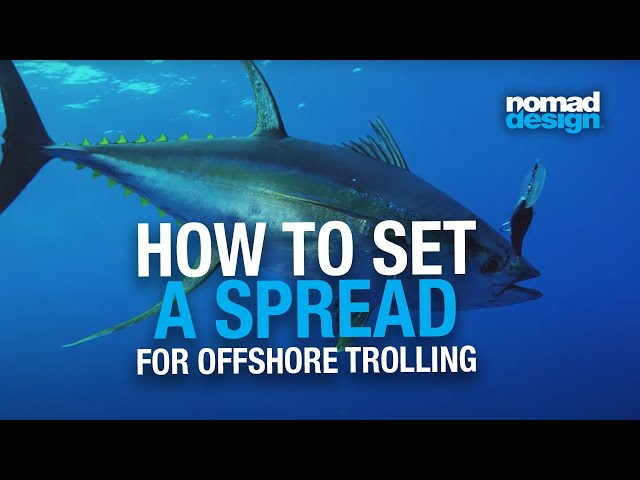 How to Set a Spread of Nomad Design Offshore Trolling Lures for