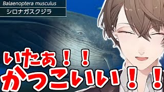 巨大魚類に目を輝かせテンションが上がる加賀美社長の海産物チャンネル