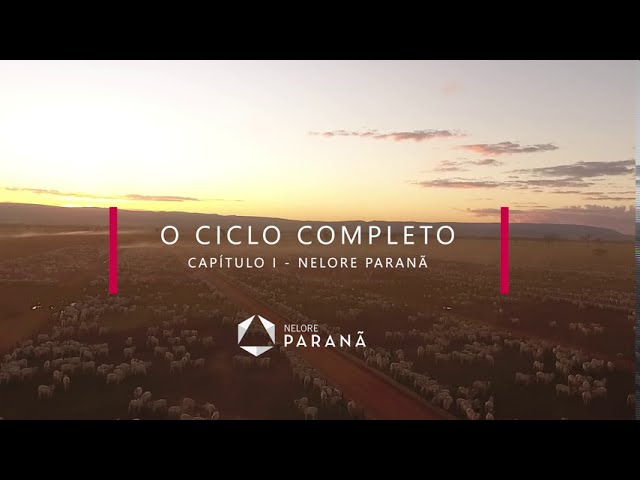 WEBSÉRIE Nelore Paranã: Capítulo 01 - Ciclo Completo