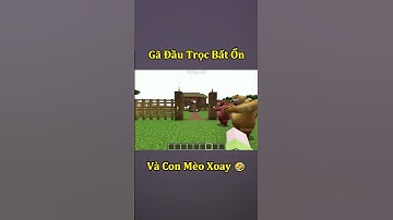 Gã Đầu Trọc Bất Ổn Và Con Mèo Xoay Tròn 🤣 #shorts