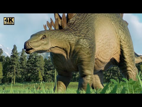 Video: Je stegosaurus býložravec?