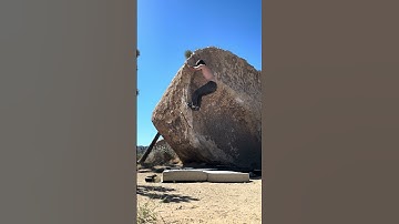 The Halfling V1 - Joshua Tree