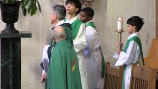 11th Sunday in Ordinary Time - St. Vincent de Paul Church, Houston,TX 06/14/2026 11:00am