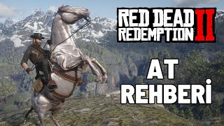 ATLAR İLE İLGİLİ HERŞEY!! | AT REHBERİ | Red Dead Redemption 2