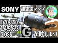 【SONYの高級レンズ】E 70-350mm 1:4.5-6.3 G OSS を作例を交えて比較とご紹介【APS-Cの超望遠】