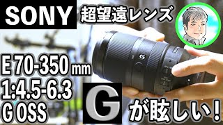 【SONYの高級レンズ】E 70-350mm 1:4.5-6.3 G OSS を作例を交えて比較とご紹介【APS-Cの超望遠】