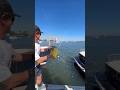 Rocket Line Thrower: The Small Machine That Saves Hundreds of Lives at Sea | #RocketLineThrower