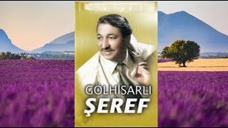 Gölhi̇sarli Şeref - Bizi Sarhoş Görüyorlar 