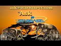 Ask STARBASE Episode 092: Why are Elephants so BIG?