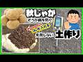 秋【じゃがいも栽培】❝衝撃❞その土では「そうか病」の危険が!酸性に変える土作り