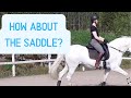 The importance of correctly fitting saddle (for horse AND rider!)