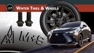 Winter Tires and Wheels for 2nd Gen Lexus NX (2022-2025)
