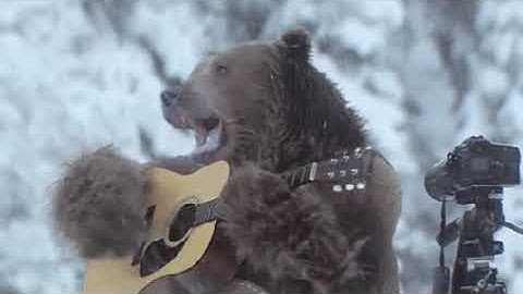 Rigid Transformations