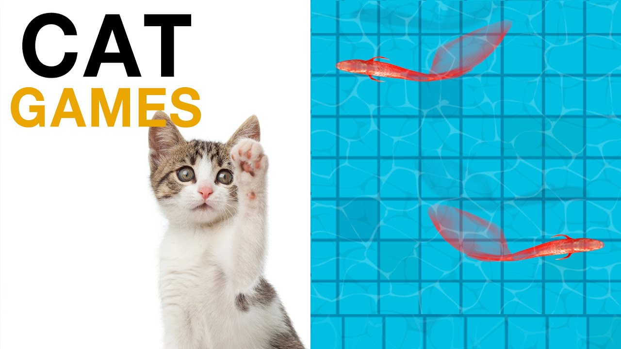 wallpaper ปลาเคลื่อนไหว  Update New  เกมส์แมว จับปลา  บนหน้าจอ สำหรับแมว แกล้งแมว