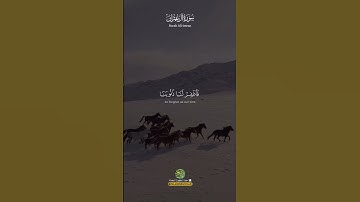 تلاوة خاشعة من سورة آل عمران ☝️ #اكسبلور #تلاوة_خاشعة #دويتو #القرآن_الكريم  #الجزائر #القران_الكريم