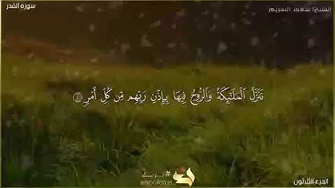 سورة القدر عمل الطالبة (  ترنيم صالح )  ابتدائية الفرعاء للطفولة المبكرة