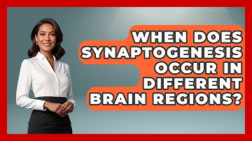 When Does Synaptogenesis Occur In Different Brain Regions? - Brain Development Hub