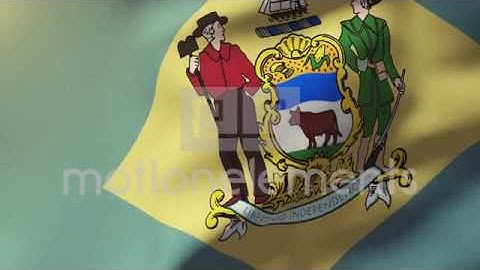 Delaware Flag Waving In The Wind. Looping Sun Rises Style. Animation Loop Stock Animation