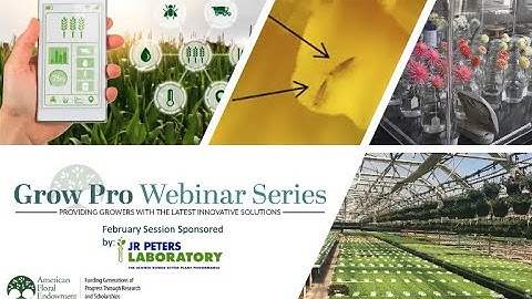 Grow Pro Series: Nutrition of Floriculture Crops