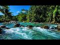 Green River Flow | Nature Sounds for Deep Sleep &amp; Relaxation