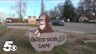 Fayetteville's first dog-themed cafe throws Golden Retriever Party