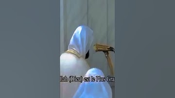 إنتقل إلى رحمة الله الشيخ محمد خليل القارئ إمام المسجد النبويﷺ سابقاً