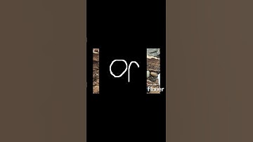 Bug Review #1: Armadillidium Vulgare