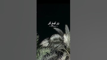 #اكسبلور #العراق #لايك #المصحف #بغداد #ترند #قرآن_كريم #تلاوة_هادئة