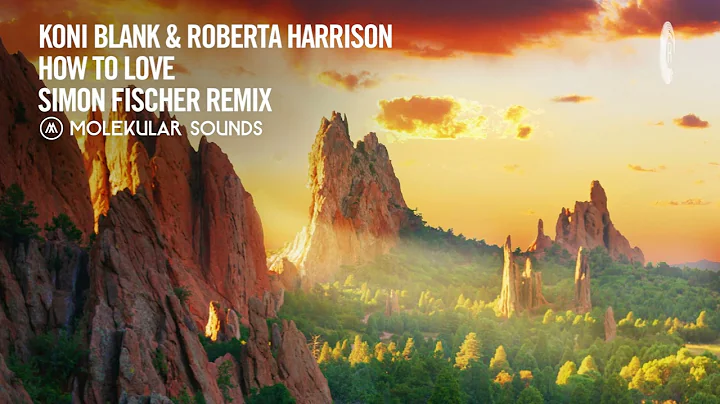 Koni Blank & Roberta Harrison - How To Love (Simon...
