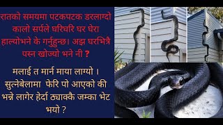 Sarpale Ghar Gherda#सर्पले घर घेरेपछि#Snake#Home