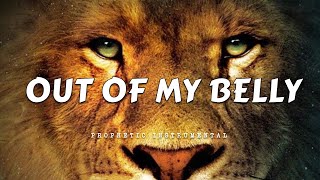 Prophetic Worship Music Instrumental - OUT OF MY BELLY