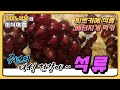 튀르키예 대표 과일 석류먹방