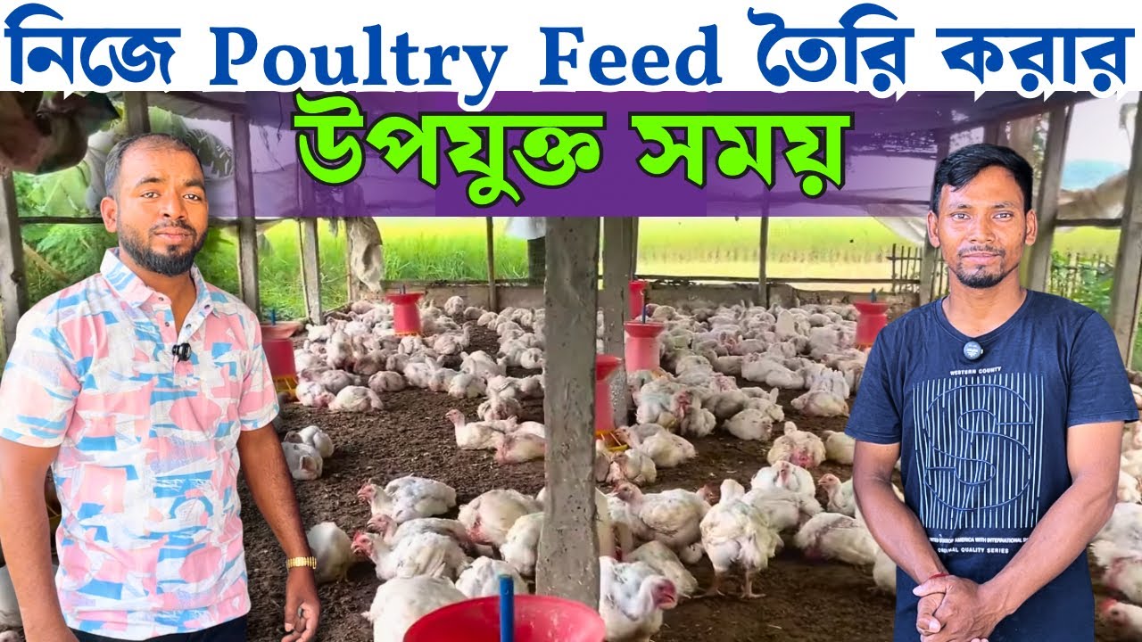 এখনেই উপযুক্ত সময় নিজে পোল্ট্রি ফিড তৈরি করার | Self Made Poultry Feed
