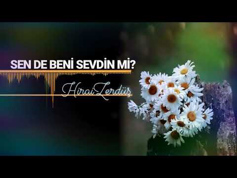 HiraiZerdüş - Seven eder mi böyle