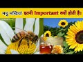 मधुमक्खियां पूरे मानव जीवन के लिए बहुत महत्वपूर्ण है।Honey 🍯 Bee is so important our life। #Facts