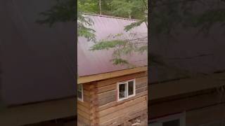 Filling the gaps between the logs in a dovetail log cabin #cabinbuild #logcabin #loghouse #wood