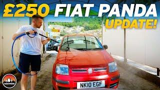 £250 Fiat Panda Update from Spain!