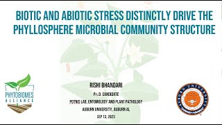 Biotic and abiotic stress distinctly drive the phyllosphere microbial community structure