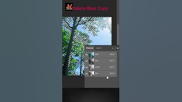 How to Remove a Tree’s Background in Photoshop 2024 #photoshop #jahansvisuals