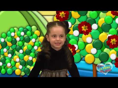 სტუდია ლა-პრიმა პატარა ხელები