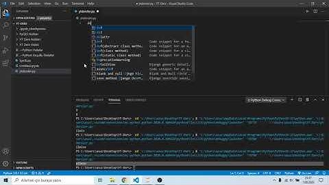 Python Karakter Dizileri: capitalize Yöntemi