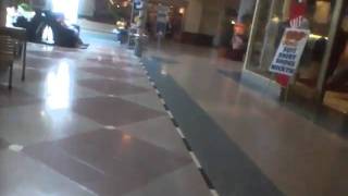 Graeginator at Ford City Mall in West Lawn, Chicago, IL